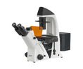 Fluorescence Microscope, Inverted, Infinity, Trinocular, 10x / 20x / 40x, Halogen, OCM-1, 304x782x530mm
